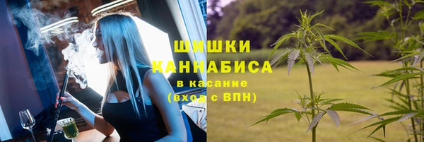 ГАЛЛЮЦИНОГЕННЫЕ ГРИБЫ Абинск