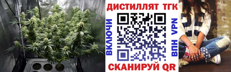 ОМГ ОМГ   сайты даркнета состав  ТГК вейп  Чкаловск 