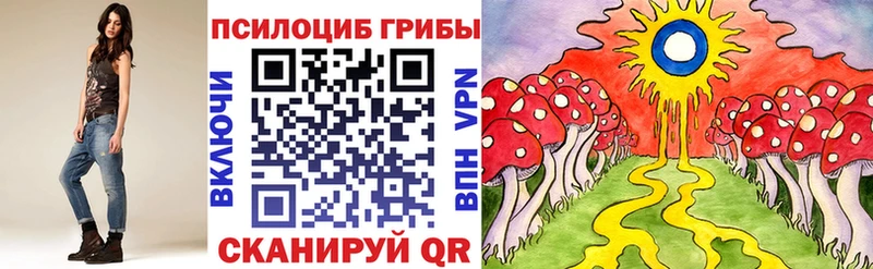 Псилоцибиновые грибы MAGIC MUSHROOMS  hydra как зайти  Чкаловск 